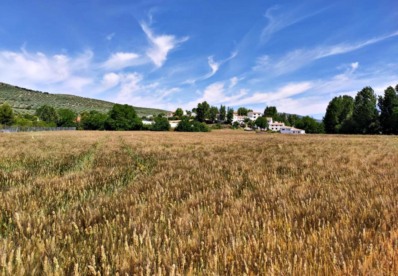 Complejo Apartamentos Rurales Molino De Abajo Рибера-Баха Экстерьер фото