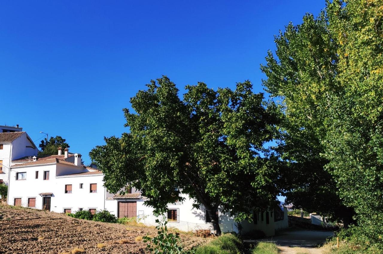 Complejo Apartamentos Rurales Molino De Abajo Рибера-Баха Экстерьер фото