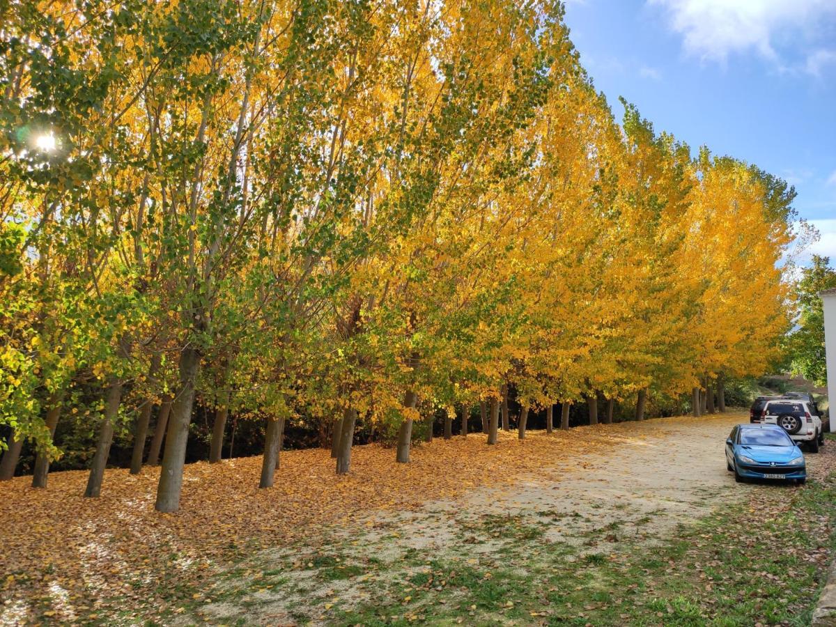 Complejo Apartamentos Rurales Molino De Abajo Рибера-Баха Экстерьер фото
